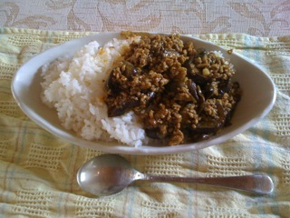 今日の海と猫とキーマカレー