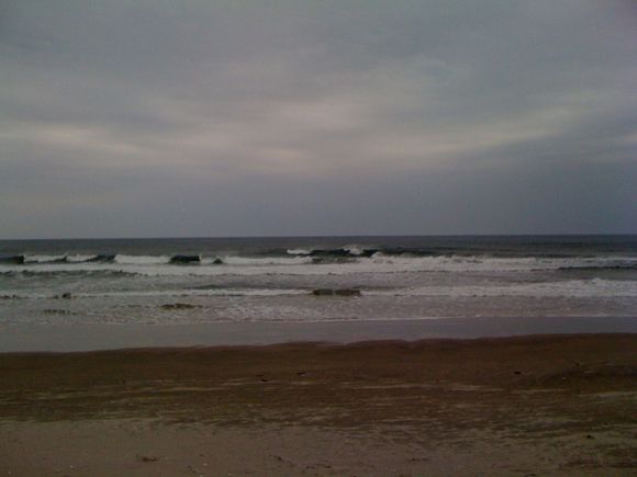 今日の海