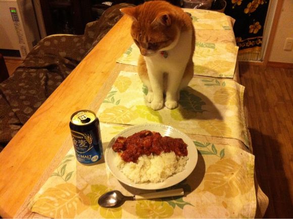 今夜チキントマトカレー☆