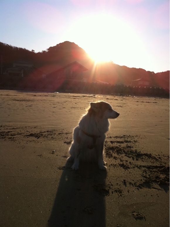 今日の海は優しかった