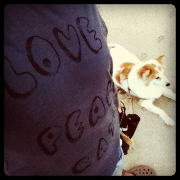 Love & Peace & Cats & Dog