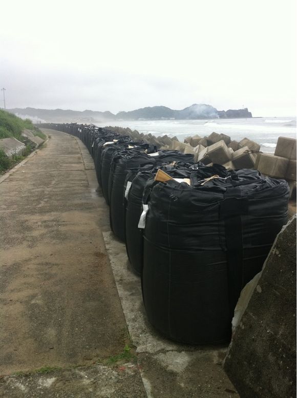 今日の二見ヶ浦海岸とトラ