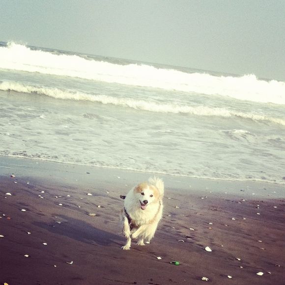Good Wave